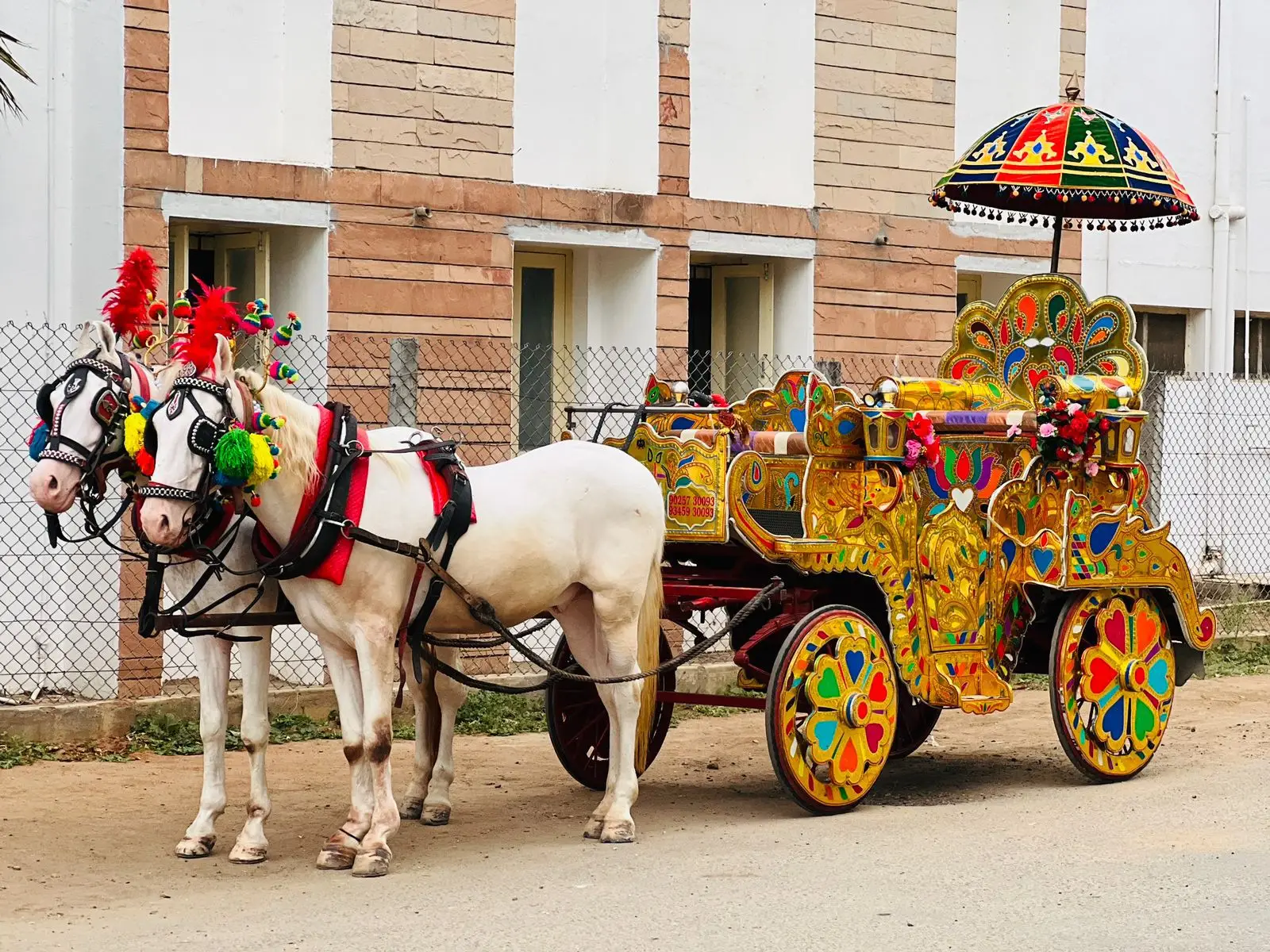 Horse Chariot